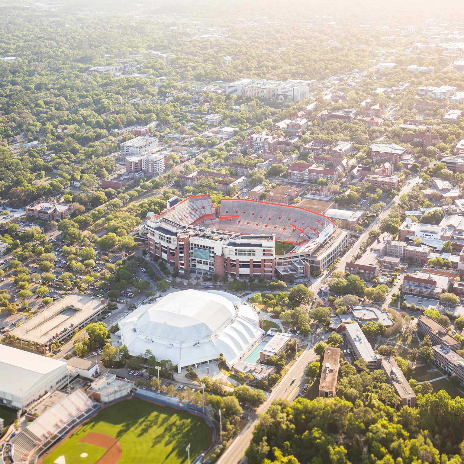 University of Florida McKinsey & Company